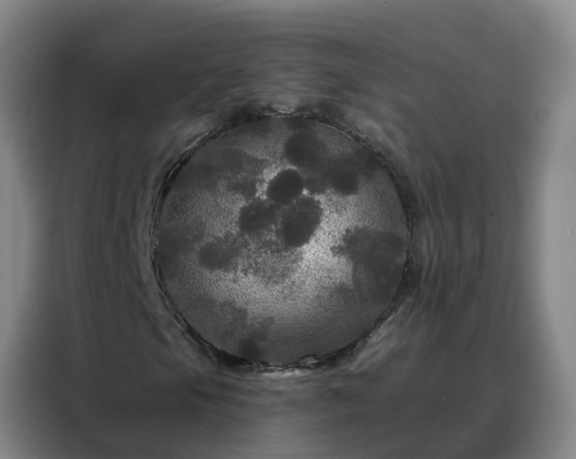 X0000088141105200705211130