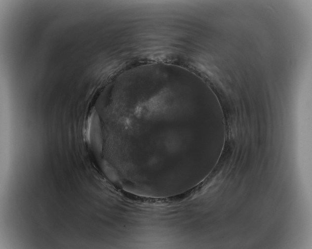 X0000088141106200705211130
