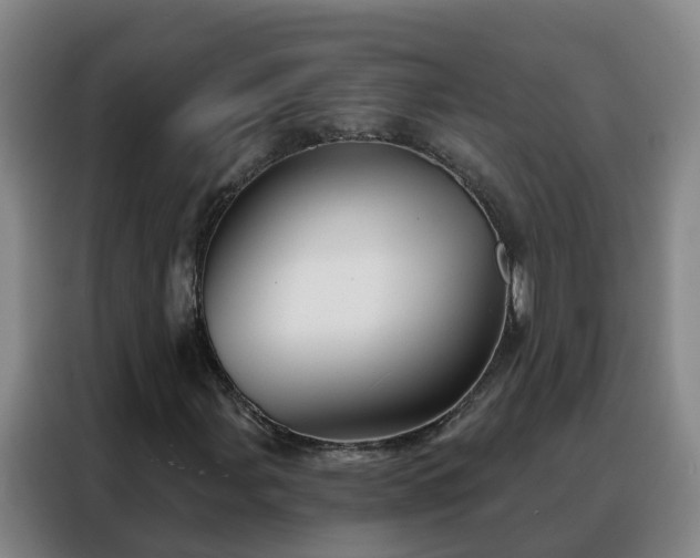 X0000088141107200705211130