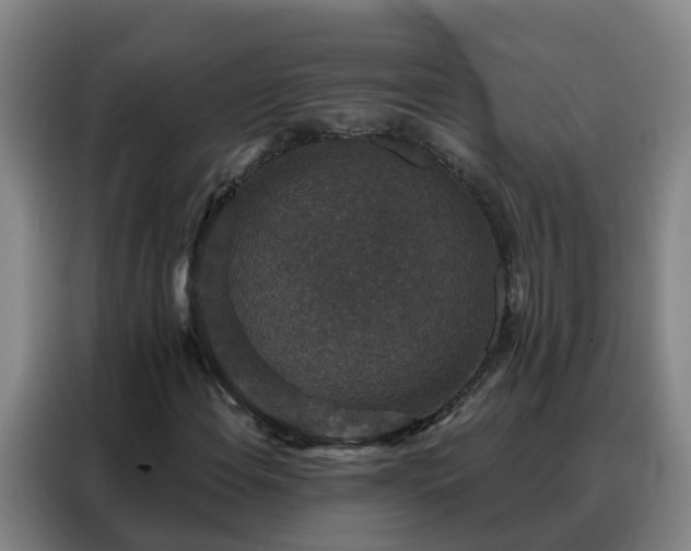 X0000088141108200705211130