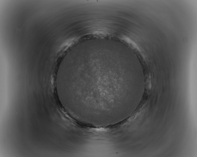 X0000088141110200705211130