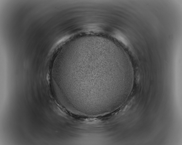 X0000088141112200705211130