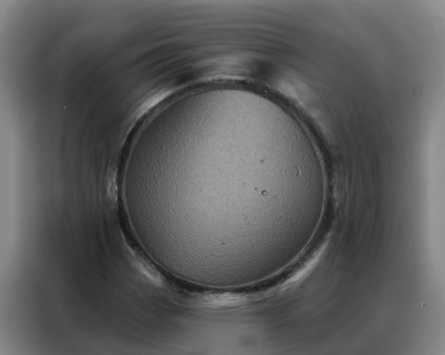 X0000088141113200705211130