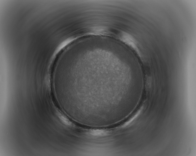 X0000088141114200705211130
