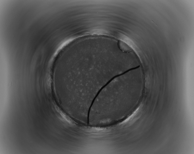 X0000088141115200705211130