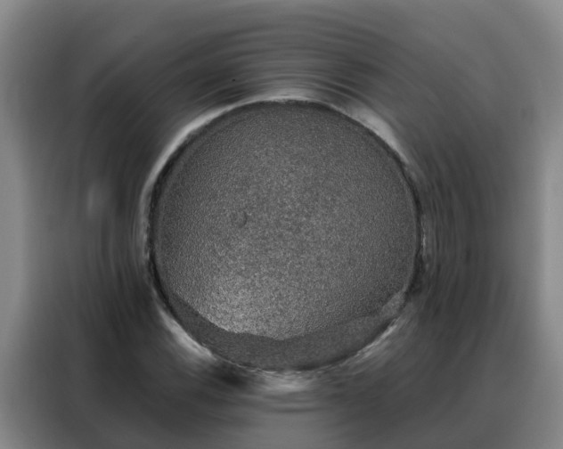 X0000088141116200705211130