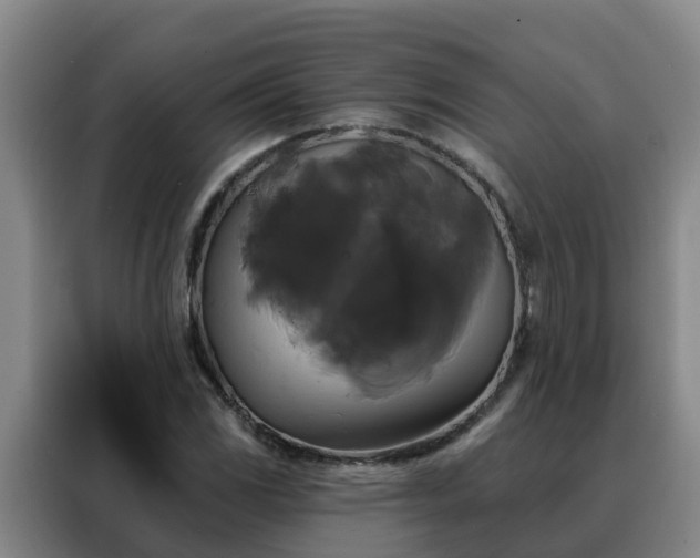 X0000088141117200705211130
