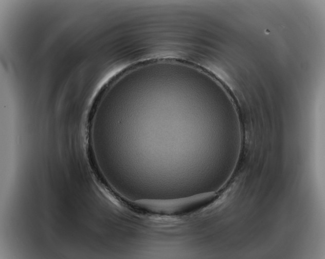 X0000088141119200705211130