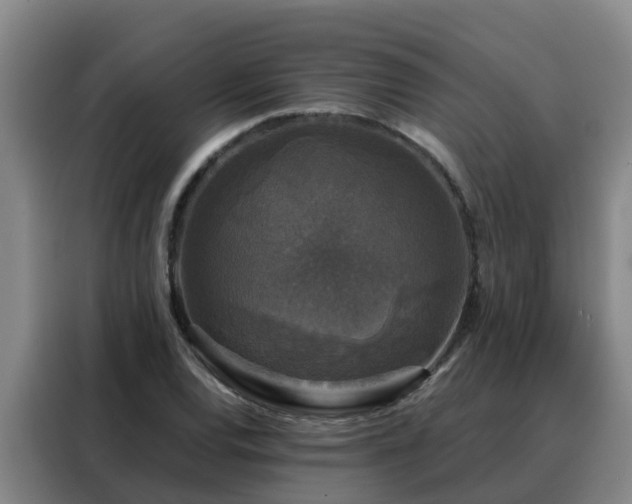 X0000088141120200705211130