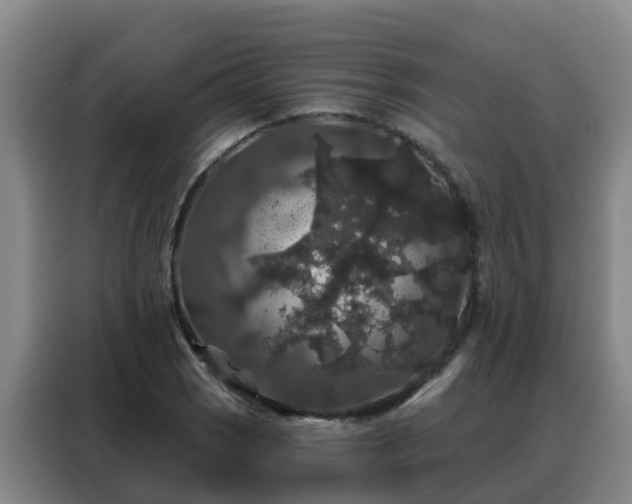 X0000088141121200705211130