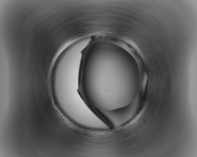X0000088141122200705211130
