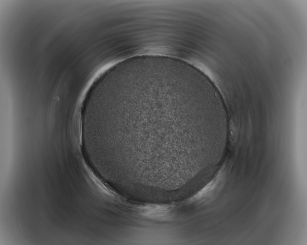 X0000088141123200705211130