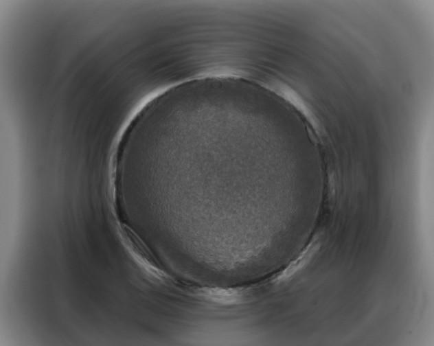 X0000088141124200705211130