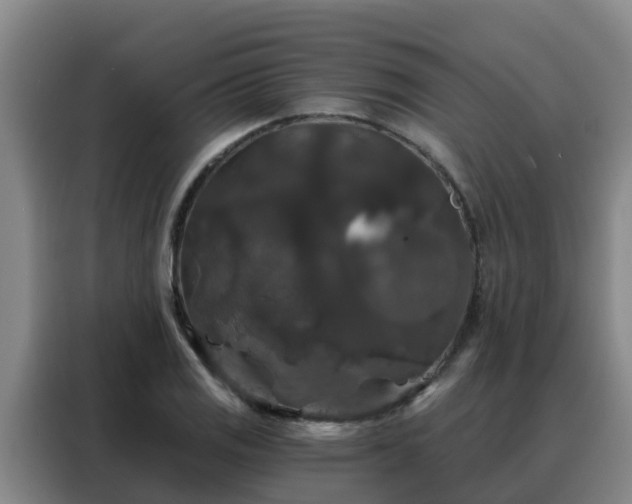 X0000088141125200705211130