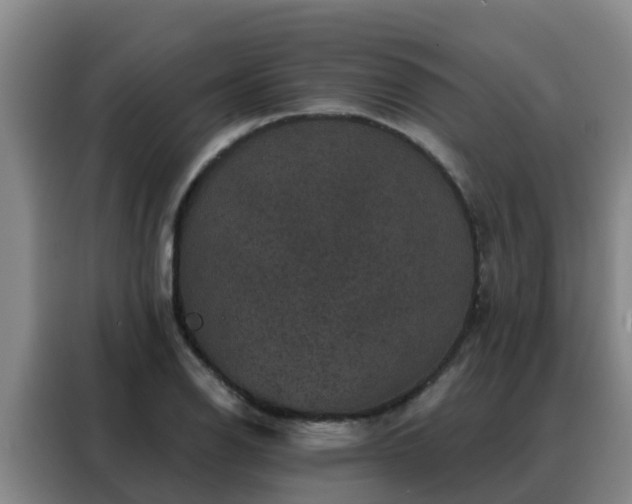 X0000088141126200705211130