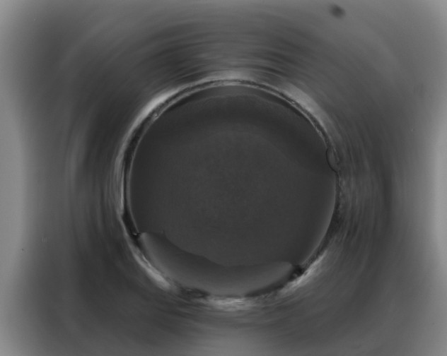 X0000088141127200705211130