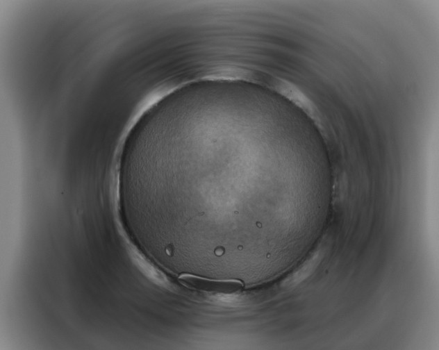 X0000088141130200705211130