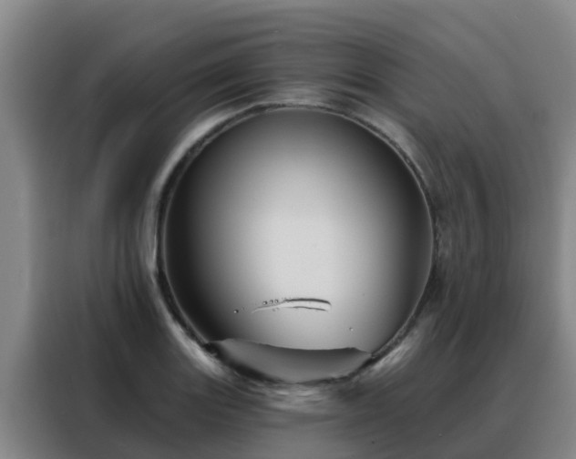 X0000088141131200705211130