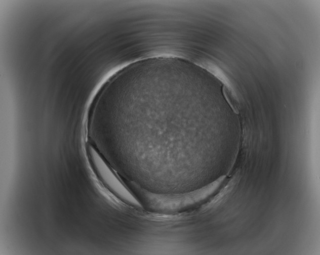 X0000088141132200705211130
