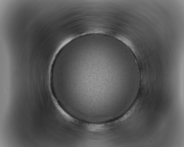 X0000088141135200705211130