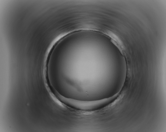 X0000088141136200705211130