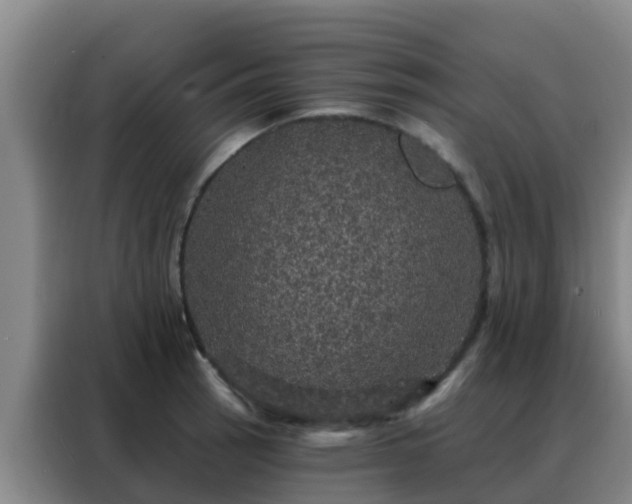 X0000088141137200705211130