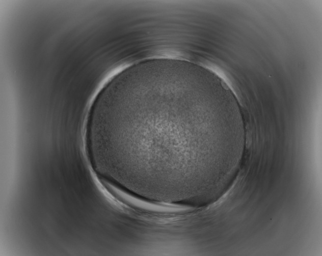 X0000088141139200705211130