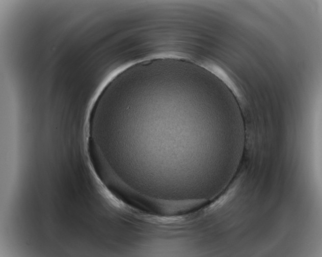 X0000088141140200705211130