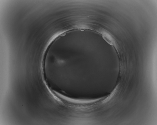 X0000088141141200705211130
