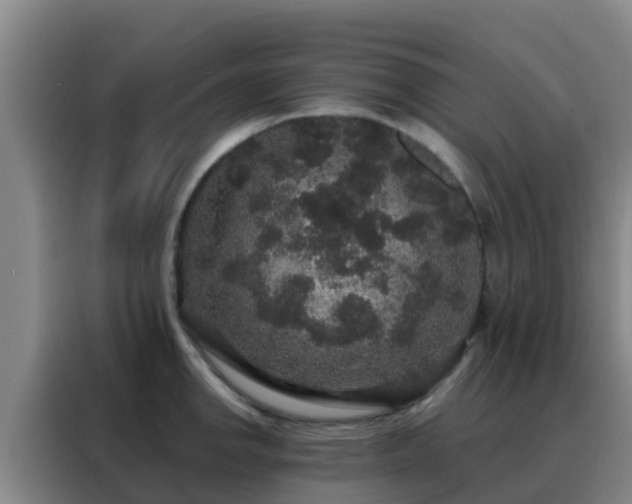 X0000088141142200705211130