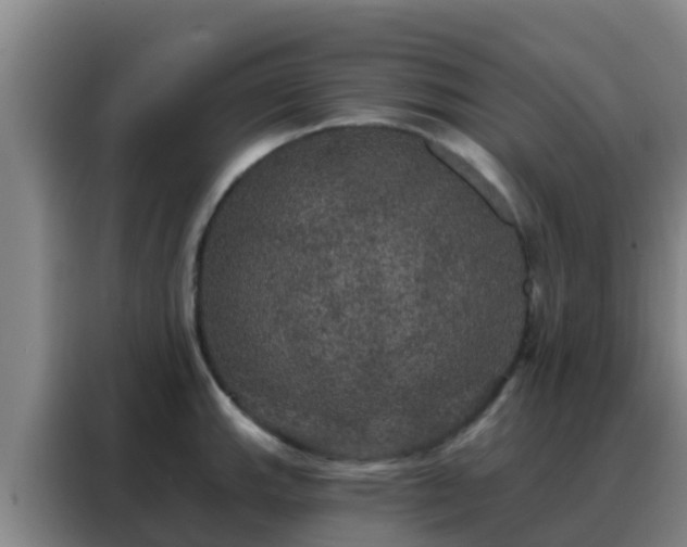 X0000088141143200705211130