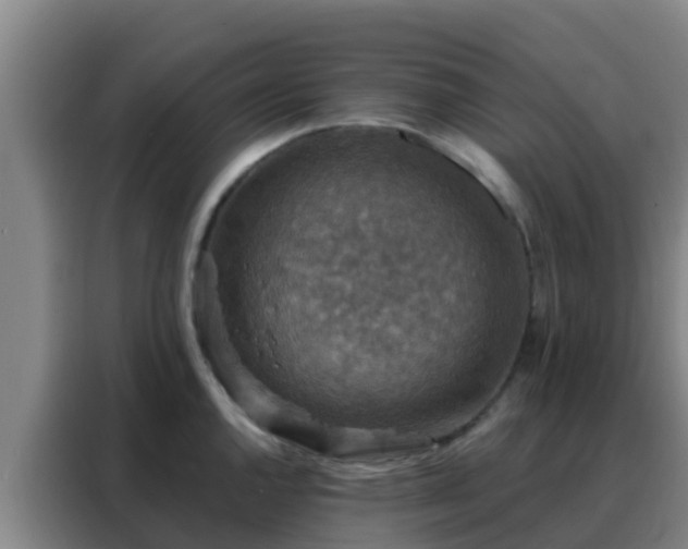X0000088141144200705211130