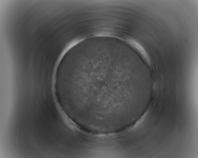 X0000088141146200705211130