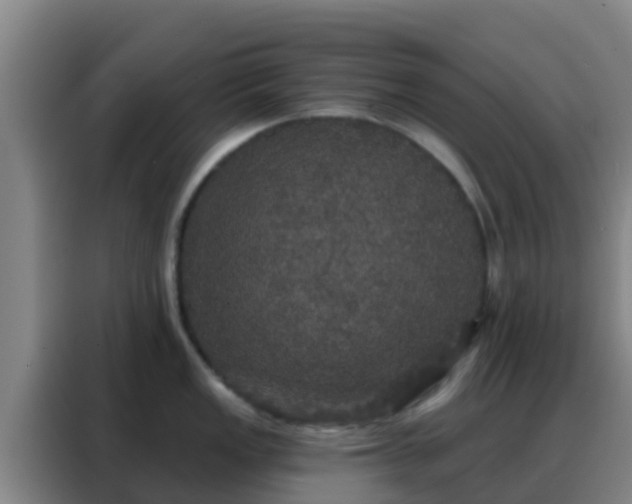 X0000088141149200705211131