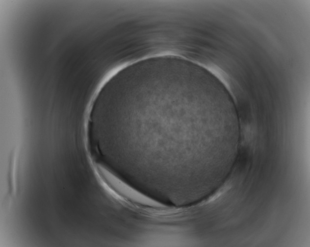 X0000088141151200705211131