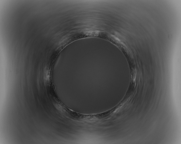 X0000088141154200705211130