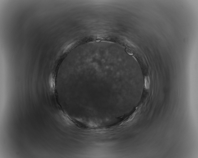 X0000088141155200705211130