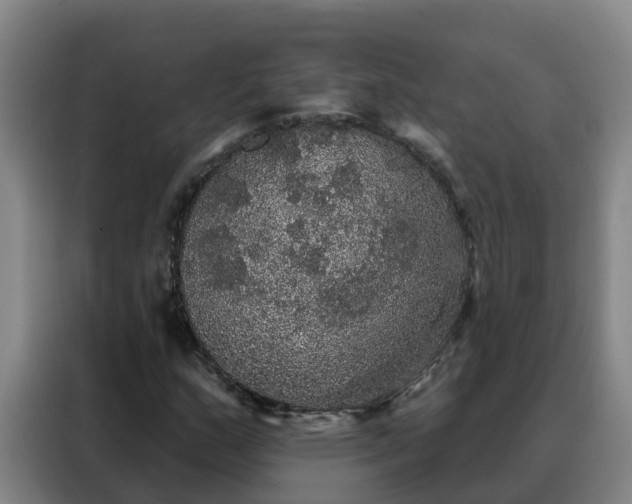 X0000088141159200705211130