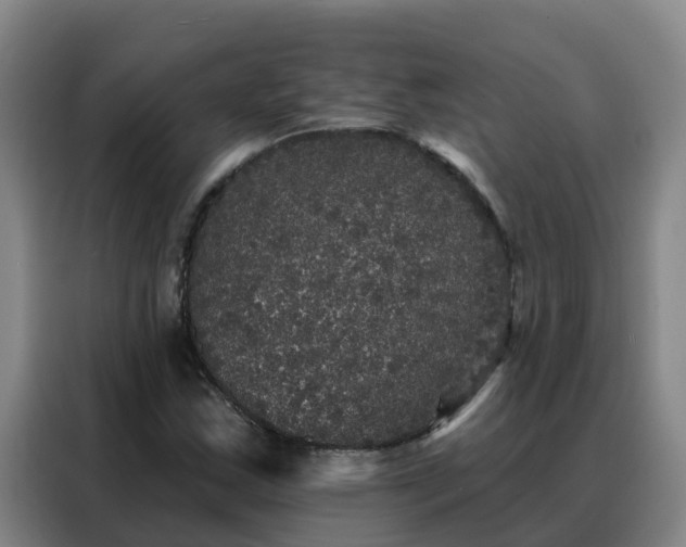 X0000088141163200705211130
