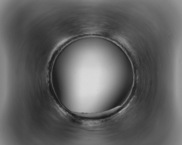 X0000088141164200705211130