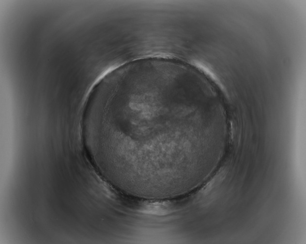 X0000088141165200705211130