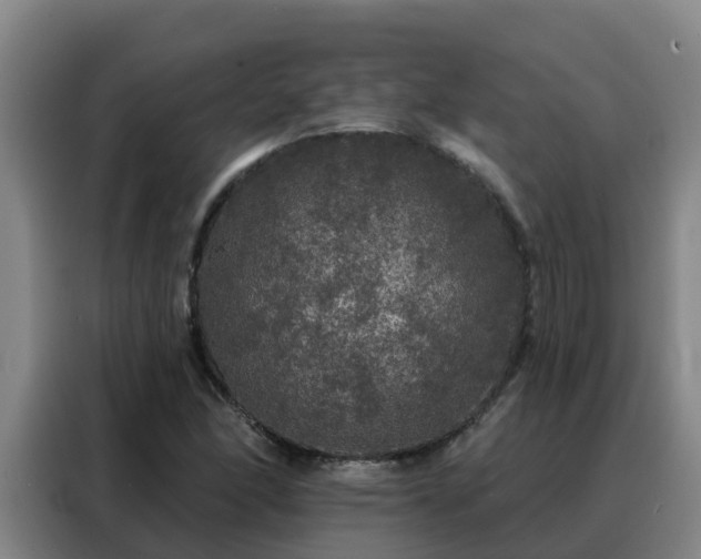 X0000088141166200705211130