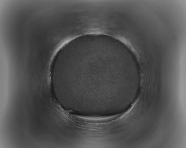 X0000088141167200705211130