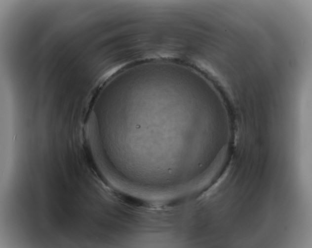 X0000088141169200705211130