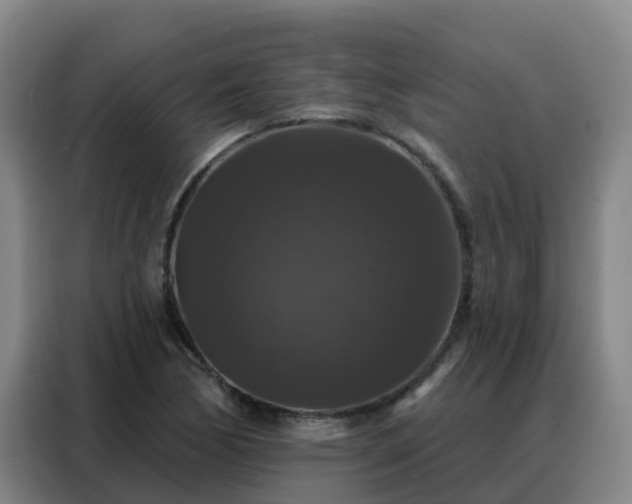 X0000088141170200705211130