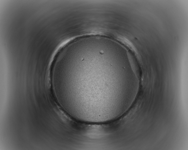 X0000088141172200705211130