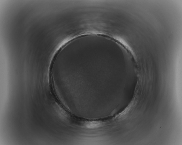 X0000088141173200705211130