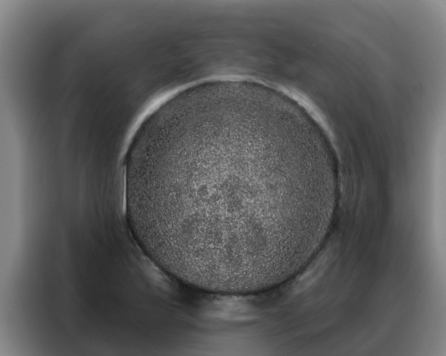 X0000088141175200705211130