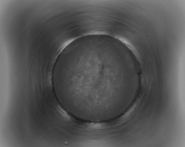 X0000088141177200705211130