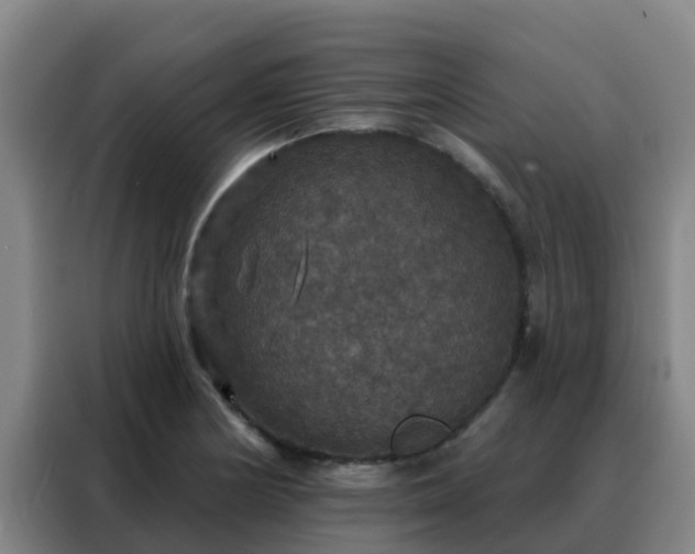 X0000088141178200705211130